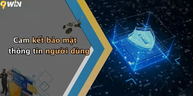 Cam kết chính sách bảo mật thông tin người dùng